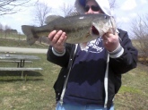 S Caught at Shelbyville, ky/ 8.3 pounds 28 1/2 inches long  red craw crankbait