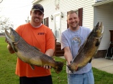 Lake Ontario stream run brown trout from the Fall of 2012. The brown on the left was 33 inches 21 pound and the fish on the right 33 inches 23 pounds.