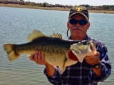 Biggest LM ever for me. 12 pounds 3 ounces. Caught at a small municipal pond in Collierville TN on a square billed crank.