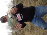 Big Crappie... 15 1/4 inch and 2.13lbs. Caught on Rebel Wee Tiny brown crawdad color.
