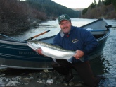 Wild 18 lb female steelhead caught in the Eel river (in Calif) at hte end of Jan.