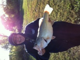 Lake Ray Hubbard Rockwall Texas Using live bait Night Crawler 7 lb.  3oz.  19 in.   Lg Mouth Bass