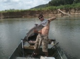 Blue Cat caught on rod and reel on Duck River in Middle, TN!