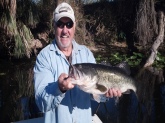 Caught this 9 pound Large Mouth Bass in Lake Griffith 65` water temp on a green frog top water bait.  Used a skip action.