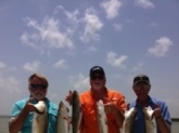 A very nice mix of trout and redfish caught near Rockport Tx. Redfish was 28