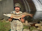 Northern pike caught Oct 2, 2013 38 inches 14 pounds Laurel Hill Lake near Somerset PA