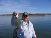 San Carlos Lake, Arizona.  Was watching your show on crappie fishing and, as always, really enjoy them.  My son and I caught over seventy crappie in one day and most were between 15 and 17 inches.  We released anything under 14 inches.  These are BIG Black Crappie Bill.  Adios my friend,  Gary