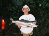 22lb coho bull salmon caught on the Samish river near Anacortas Washington