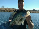 Personal best crappie 3.53lbs.  Caught in Iowa.