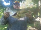 Caught at Springbrook lake estates- 7.8 lb Jackson,TN