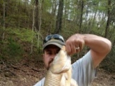 I was fishing for Blue Gill with very light tackle with 6 pound test line,not sure the weight of this carp but it was wild trying to land him on light action tackle made for Blue Gill, this was caught at lake Douglas tenn