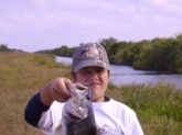 nice bass i caught in the glades on a senko.