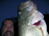 Caught this nice bass at the break of dawn with a white grub. Measured 24 inches in length!