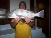 I caught this black drum @ the mouth or the Aransas River going into Copano Bay (Texas)