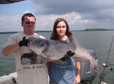 22 Pound Blue Catfish On Lake Monticello using Cut bait.
