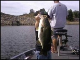 this is another one of my big catches weighing in at 7 pounds caught it on drop shot