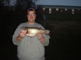 5 pounder caught at Tuckertown Lake in North Carolina. Caught on live minnow.