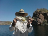 4 pound Large Mouth out of Castle Creek at Lake Pleasant Arizona.