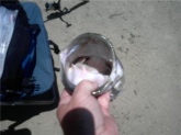 This is a Pic of what a 10  Pound Bass looks like to a Bait Fish Just before it gets Eaten!